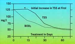 Effectiveness over time