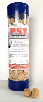 PST - Sludge Treatment